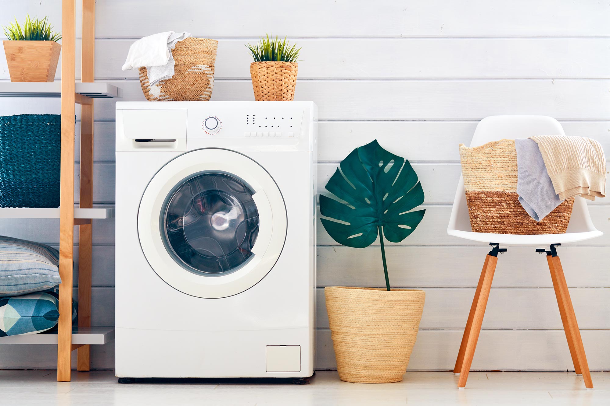 ماشین لباسشویی شما می تواند خانه ای برای باکتری ها باشد